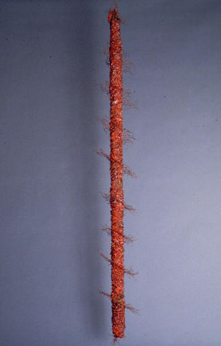 Transmitter Tree