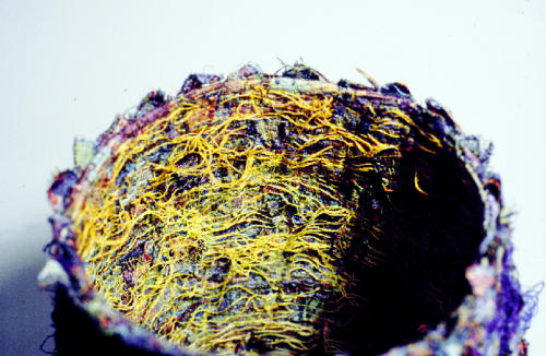 Como Agua, detail