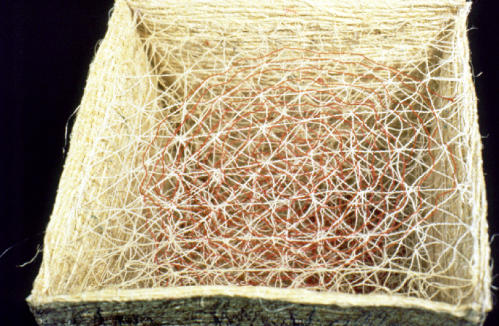 Pedasos De Mi Vida, detail