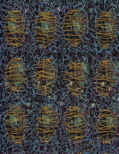 Suzhou Garden Study 1, detail