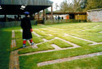 garden maze