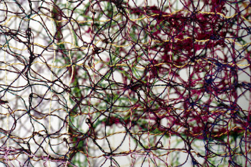 Tranquil Garden, interior view