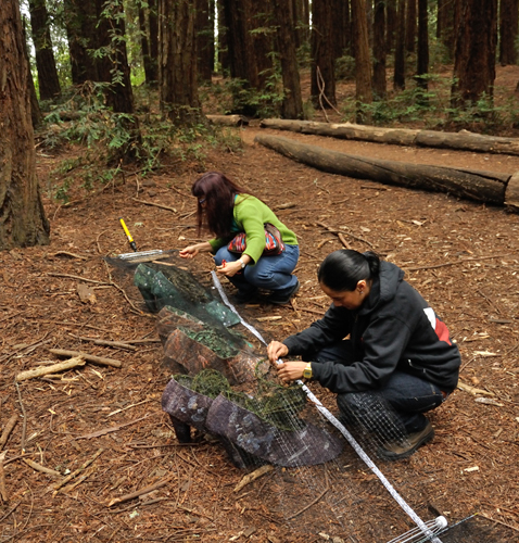 Leaving the Forest, photoshoot