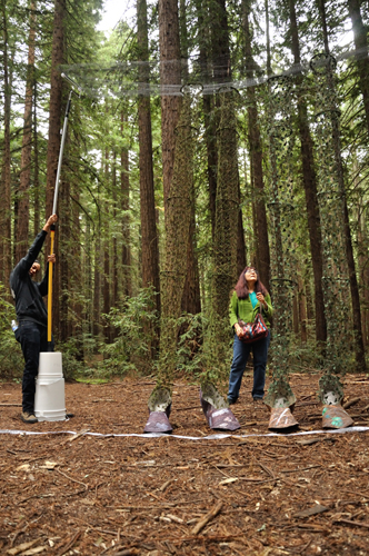 Leaving the Forest, photoshoot
