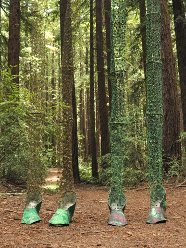 Leaving the Forest, photoshoot