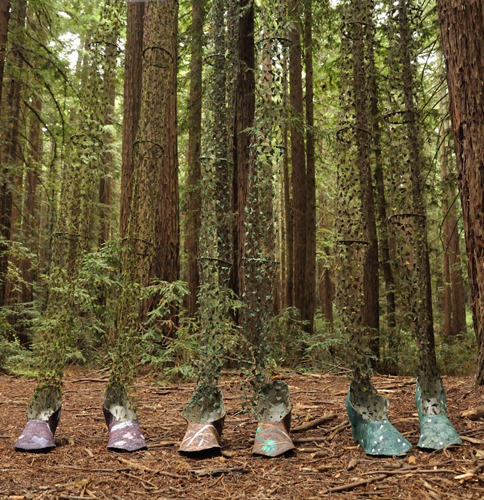 Leaving the Forest, photoshoot