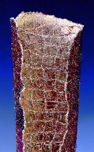 Flowering Log, detail view